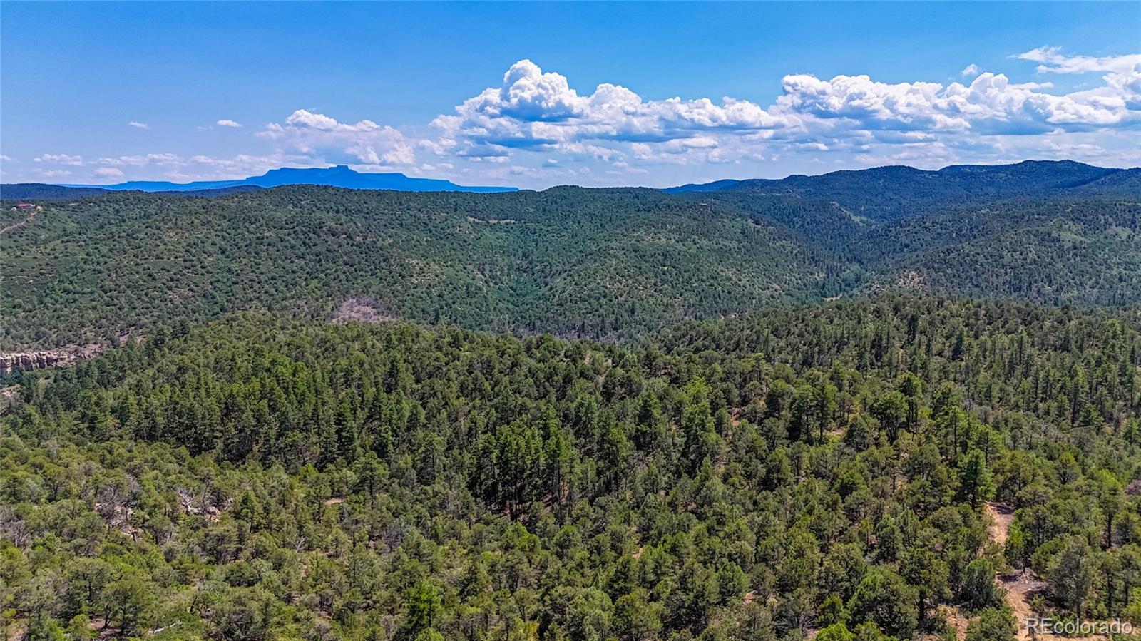 31300 Timber Canyon Road Trinidad CO 81082