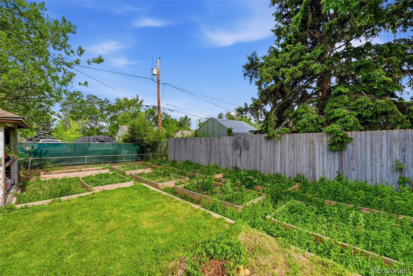 2060 Dover Street Lakewood CO 80215
