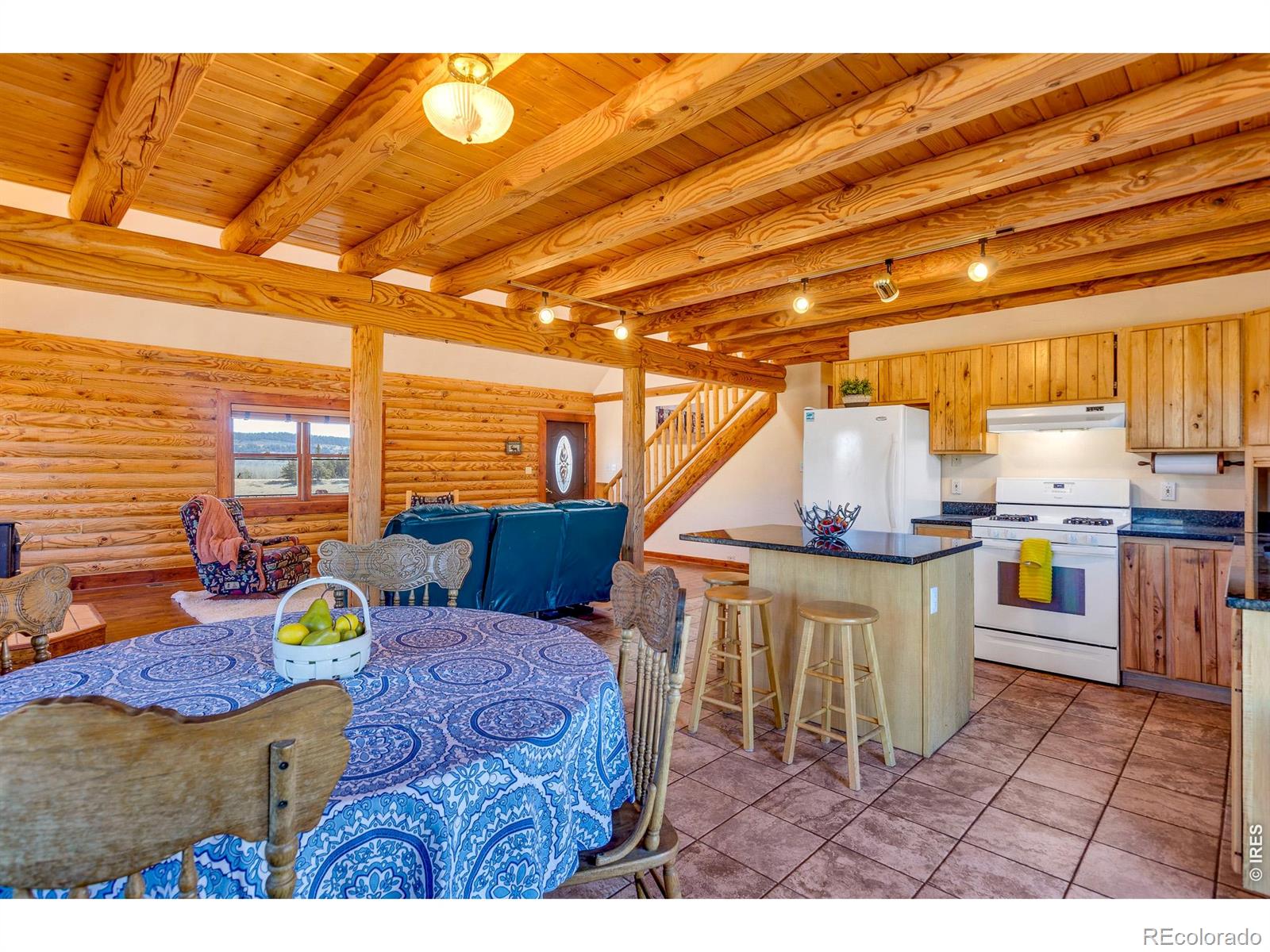 1528 Silverheels Road Fairplay CO 80440