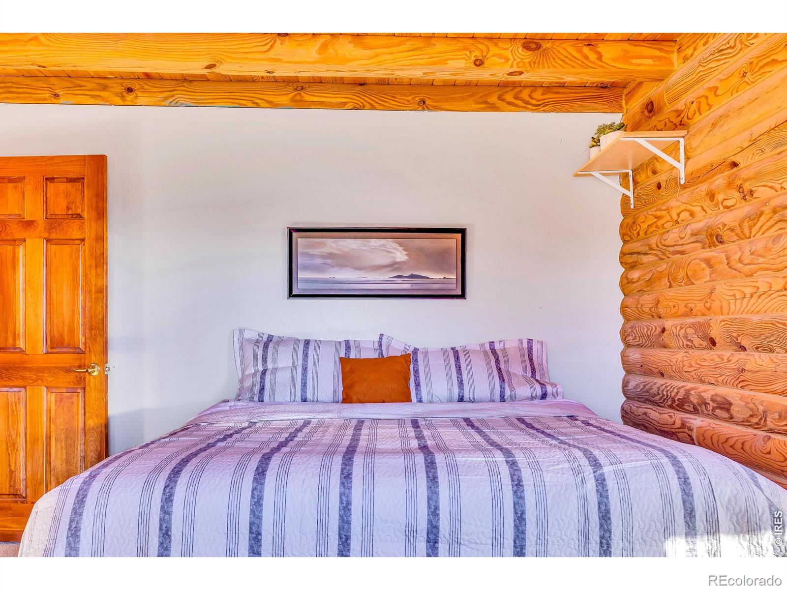 1528 Silverheels Road Fairplay CO 80440