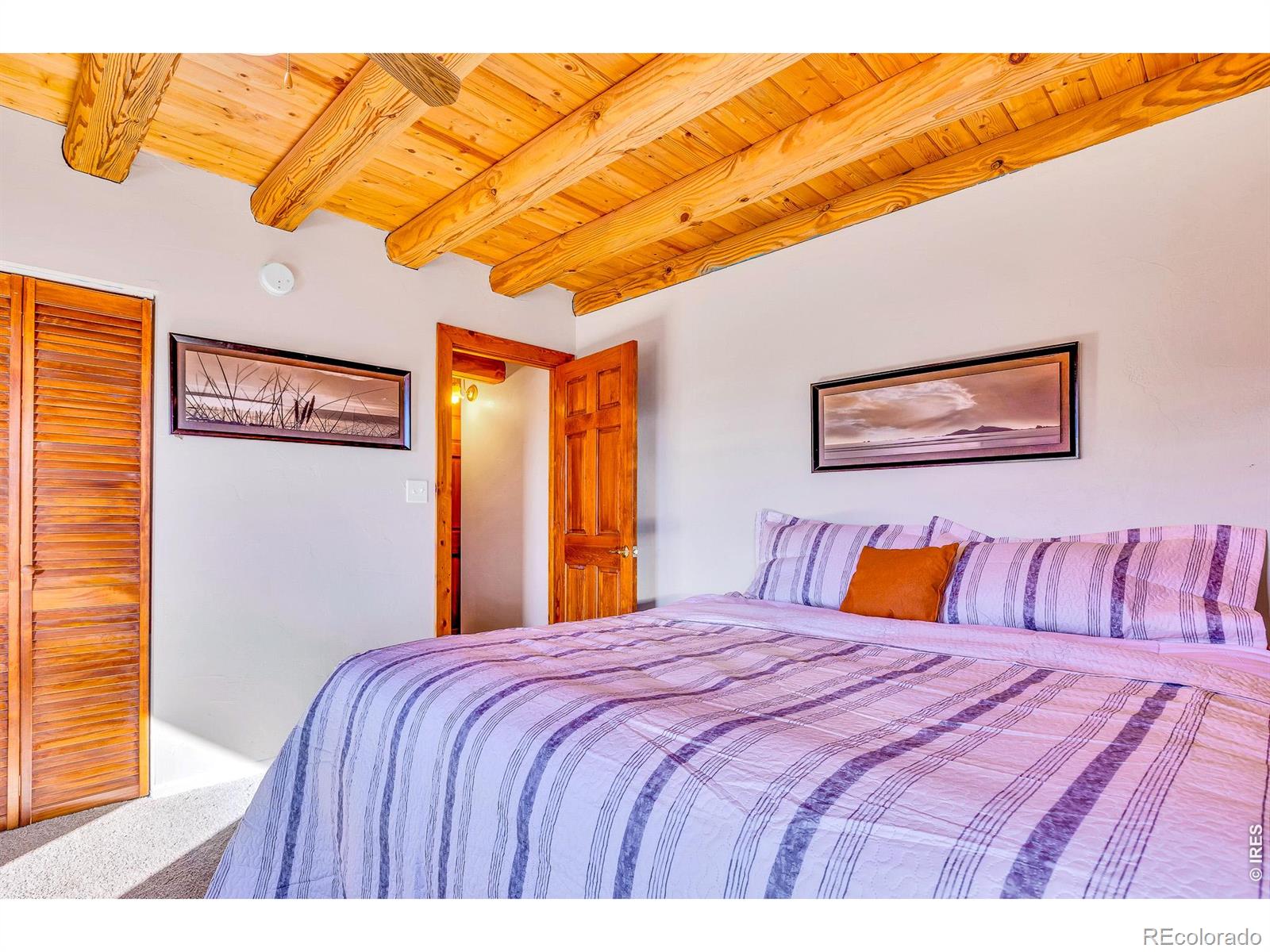 1528 Silverheels Road Fairplay CO 80440