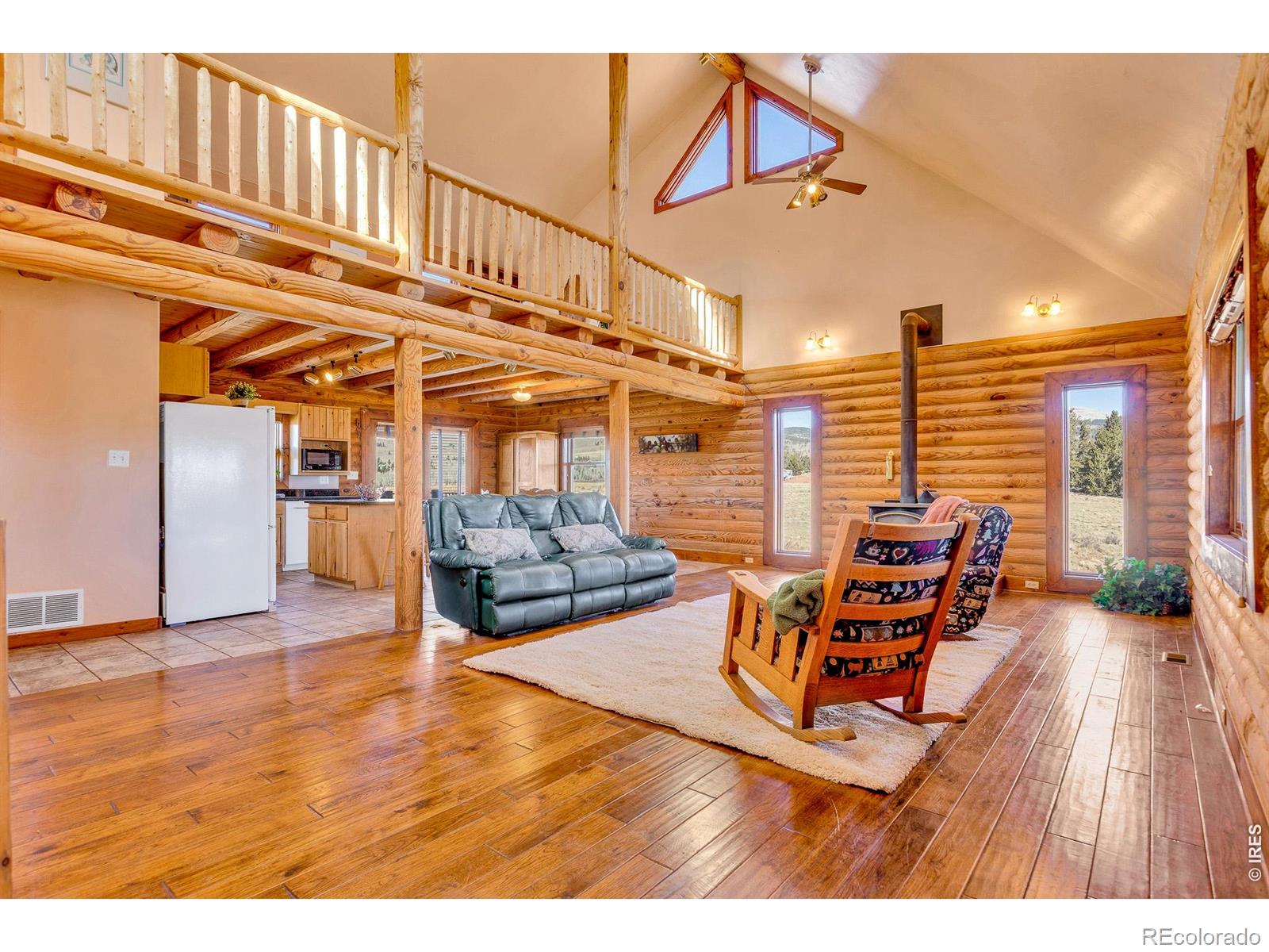 1528 Silverheels Road Fairplay CO 80440
