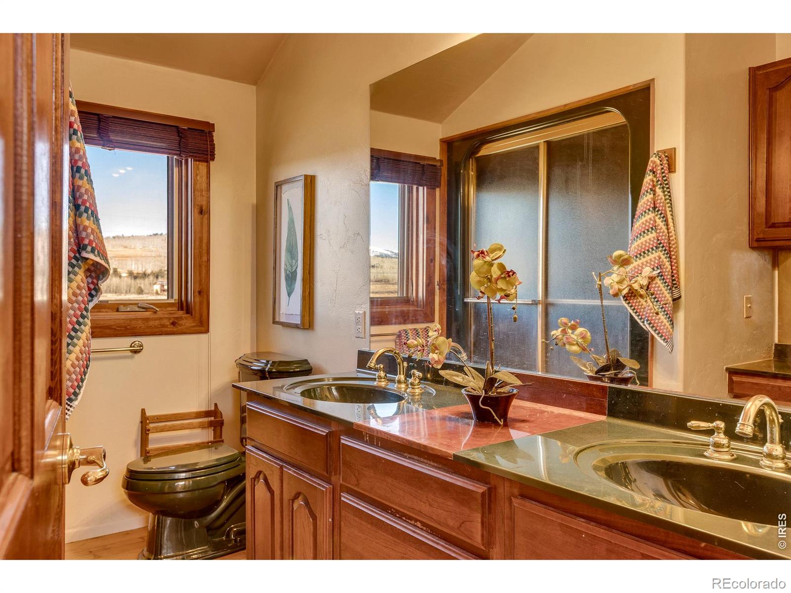 1528 Silverheels Road Fairplay CO 80440