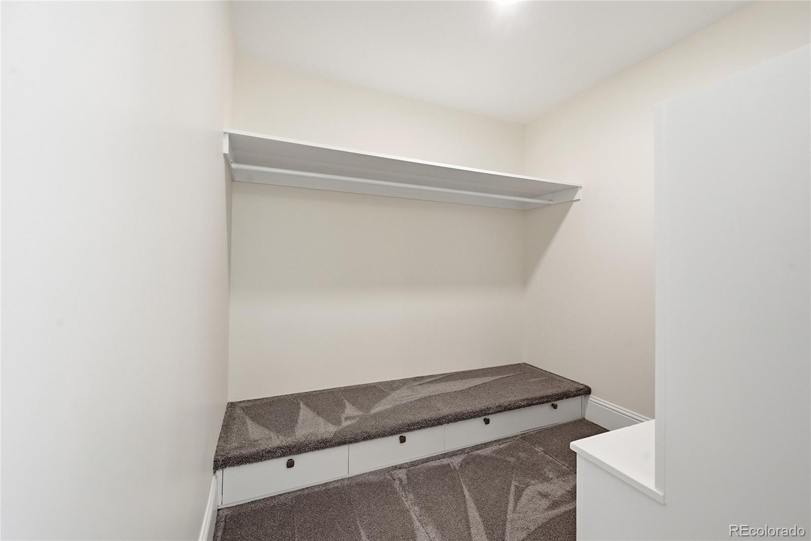 3742 S Grape Street Denver CO 80237