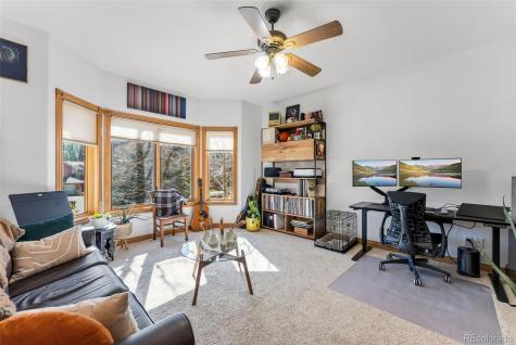 79 Landon Lane Dillon CO 80435