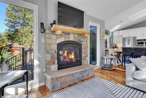 32857 Little Cub Road Evergreen CO 80439