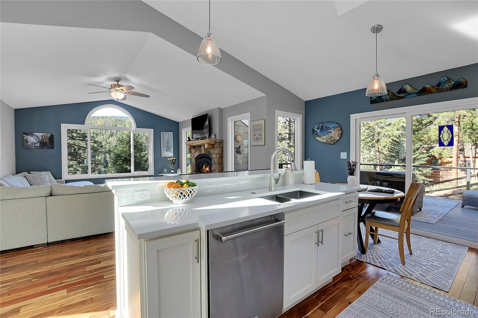 32857 Little Cub Road Evergreen CO 80439