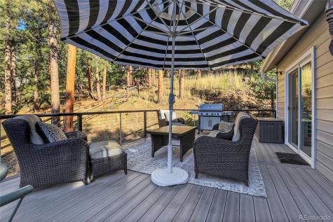 32857 Little Cub Road Evergreen CO 80439