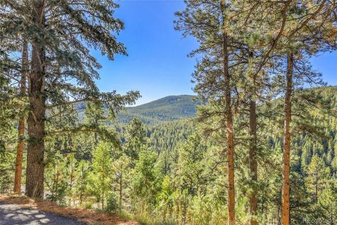 32857 Little Cub Road Evergreen CO 80439