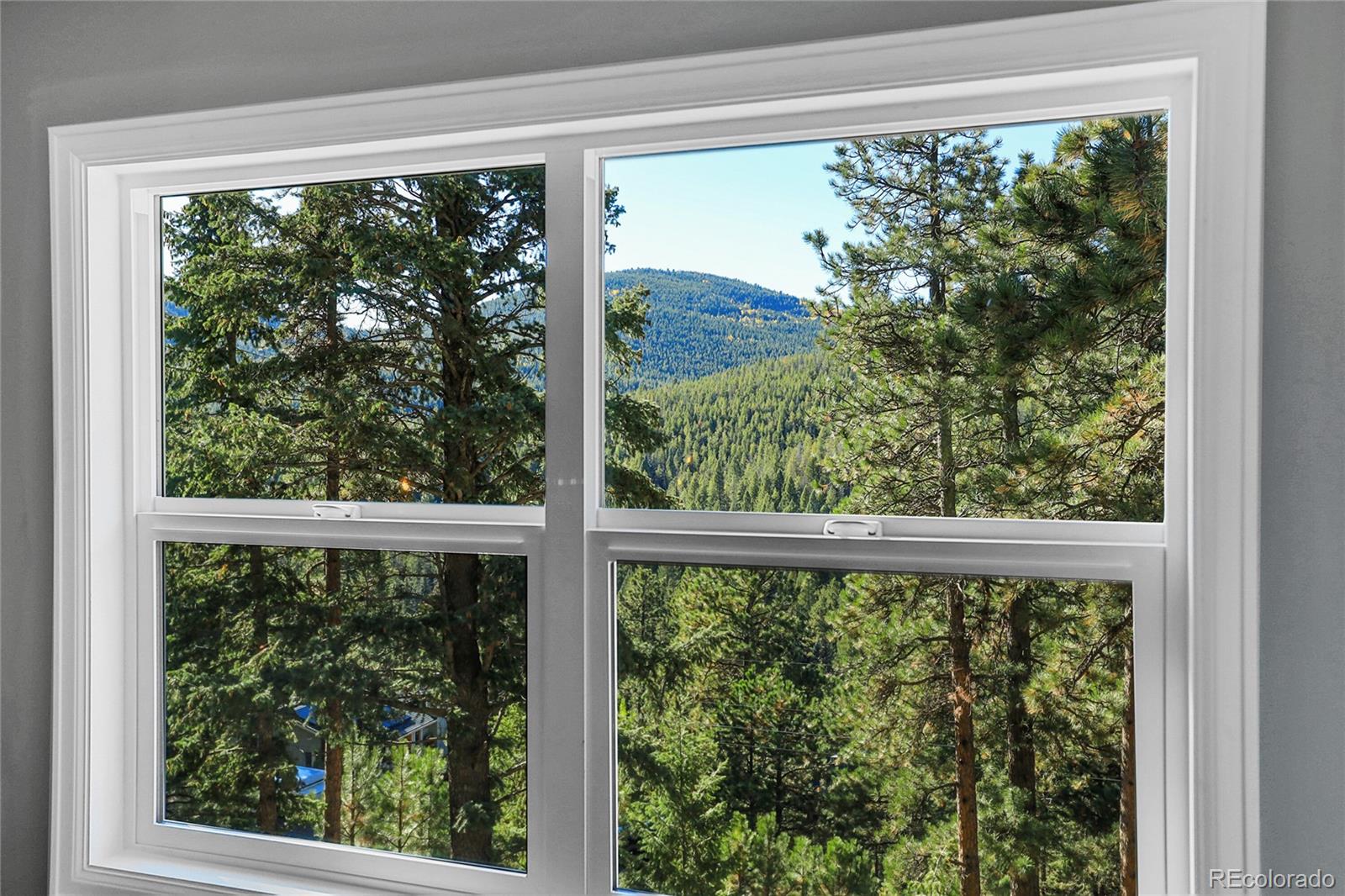 32857 Little Cub Road Evergreen CO 80439