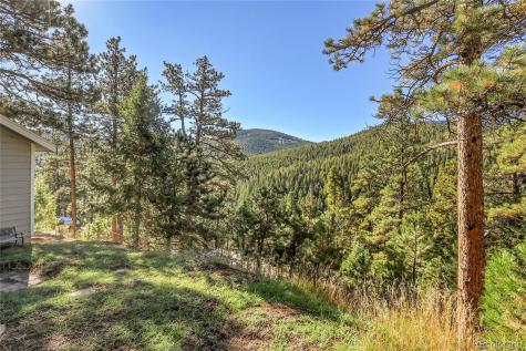 32857 Little Cub Road Evergreen CO 80439