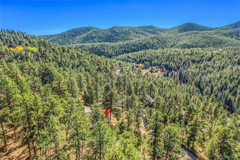 32857 Little Cub Road Evergreen CO 80439