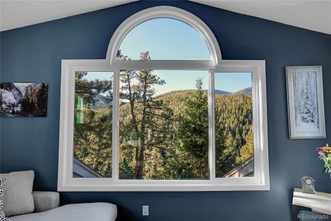 32857 Little Cub Road Evergreen CO 80439