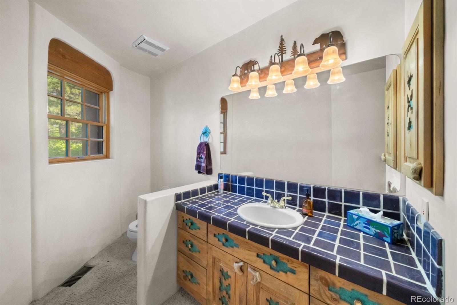 8221 Cuerna Verde Road Rye CO 81069