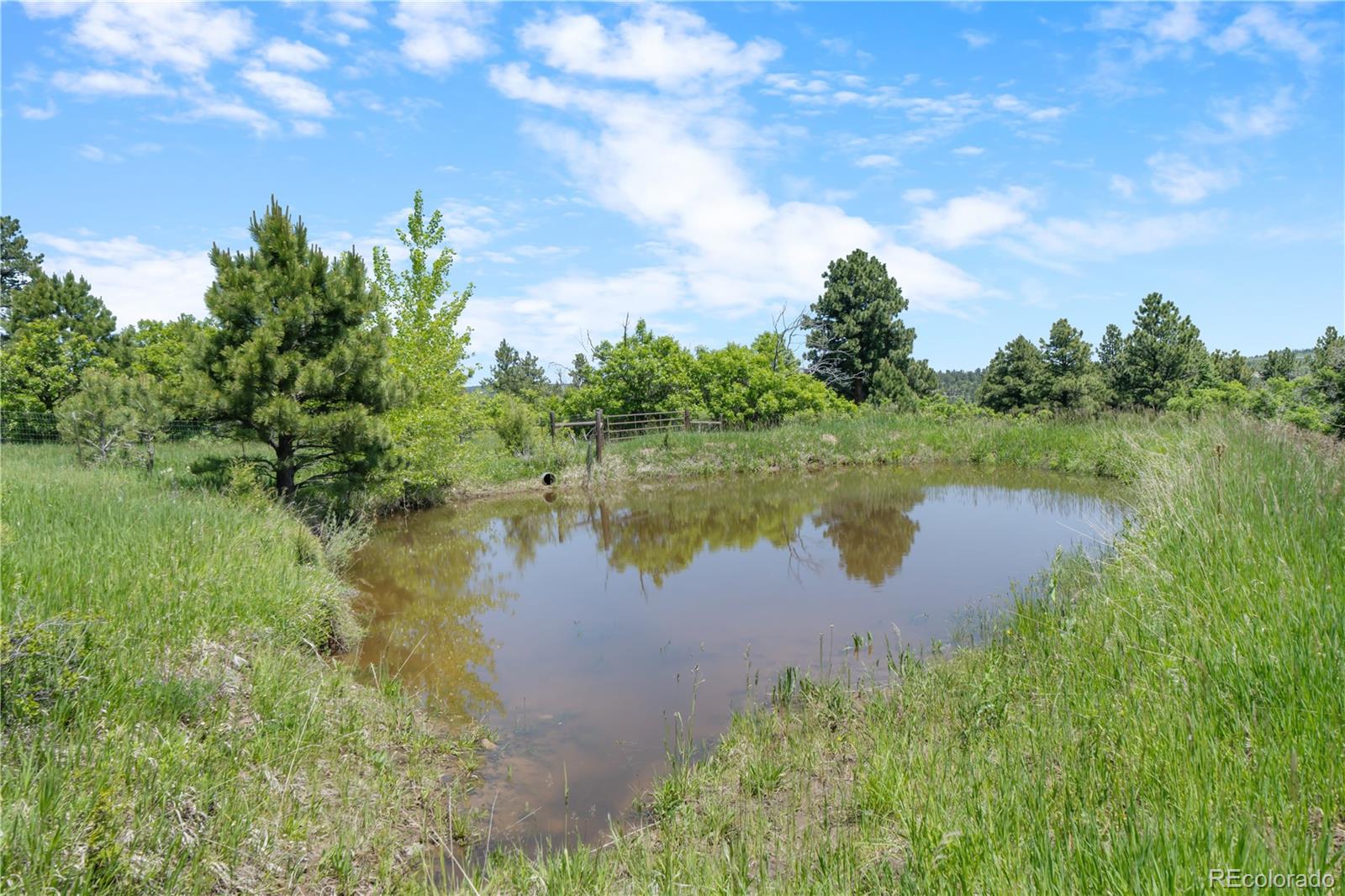 8221 Cuerna Verde Road Rye CO 81069
