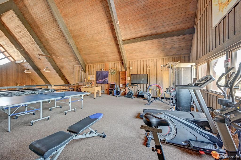 10795 County Road 197a Nathrop CO 81236