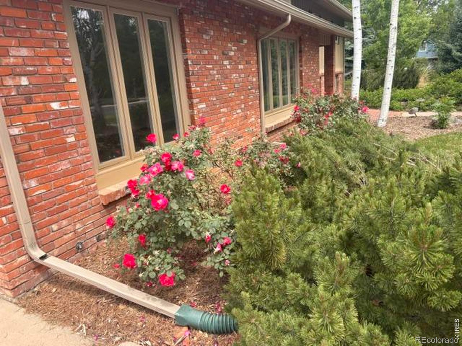 1409 Meeker Drive Fort Collins CO 80524