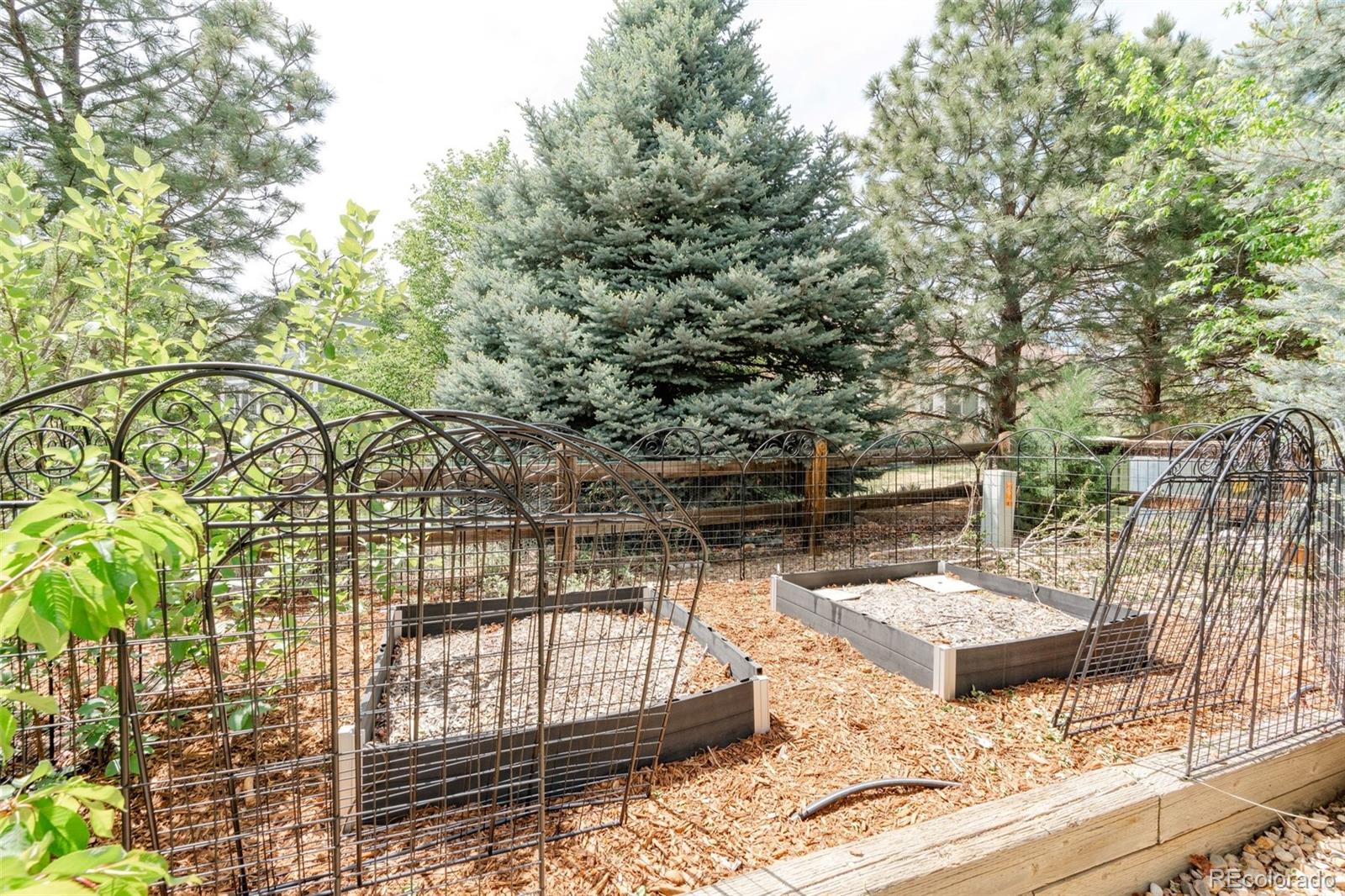 6493 S Sedalia Street Aurora CO 80016