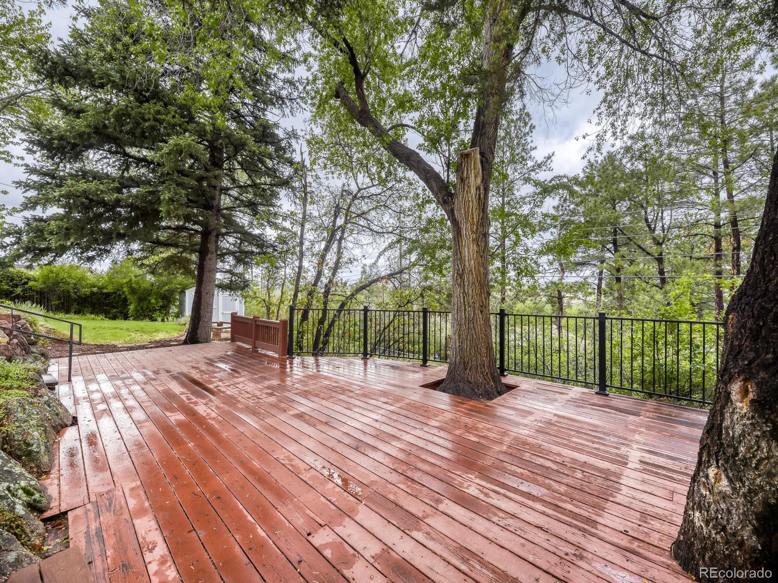 471 High Drive Castle Rock CO 80104