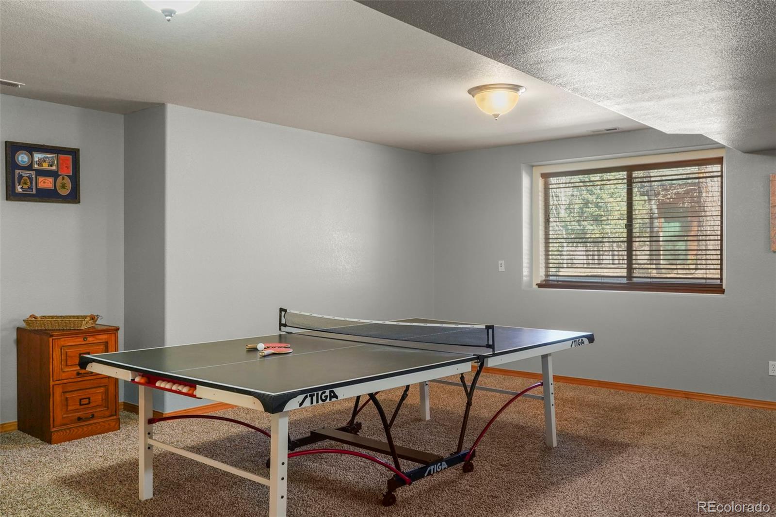 1185 Karen Lane Woodland Park CO 80863