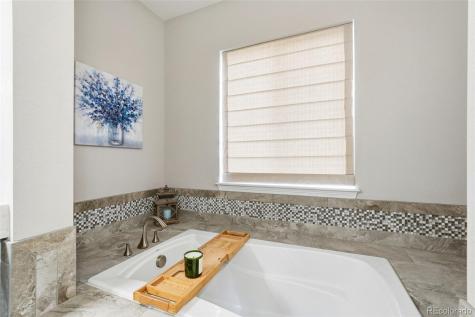 11554 Owensboro Street Parker CO 80134