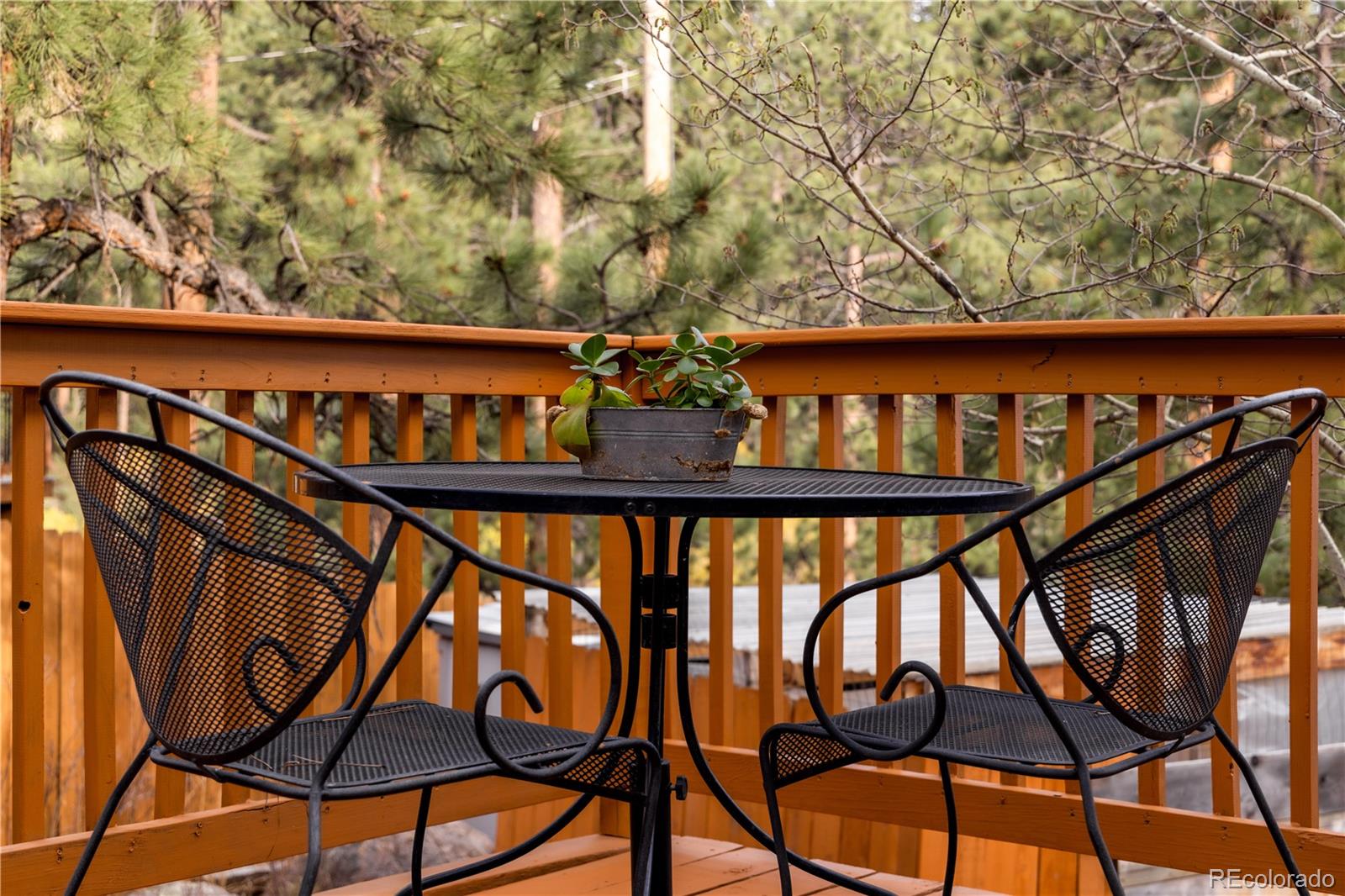 4805 S Blue Spruce Road Evergreen CO 80439
