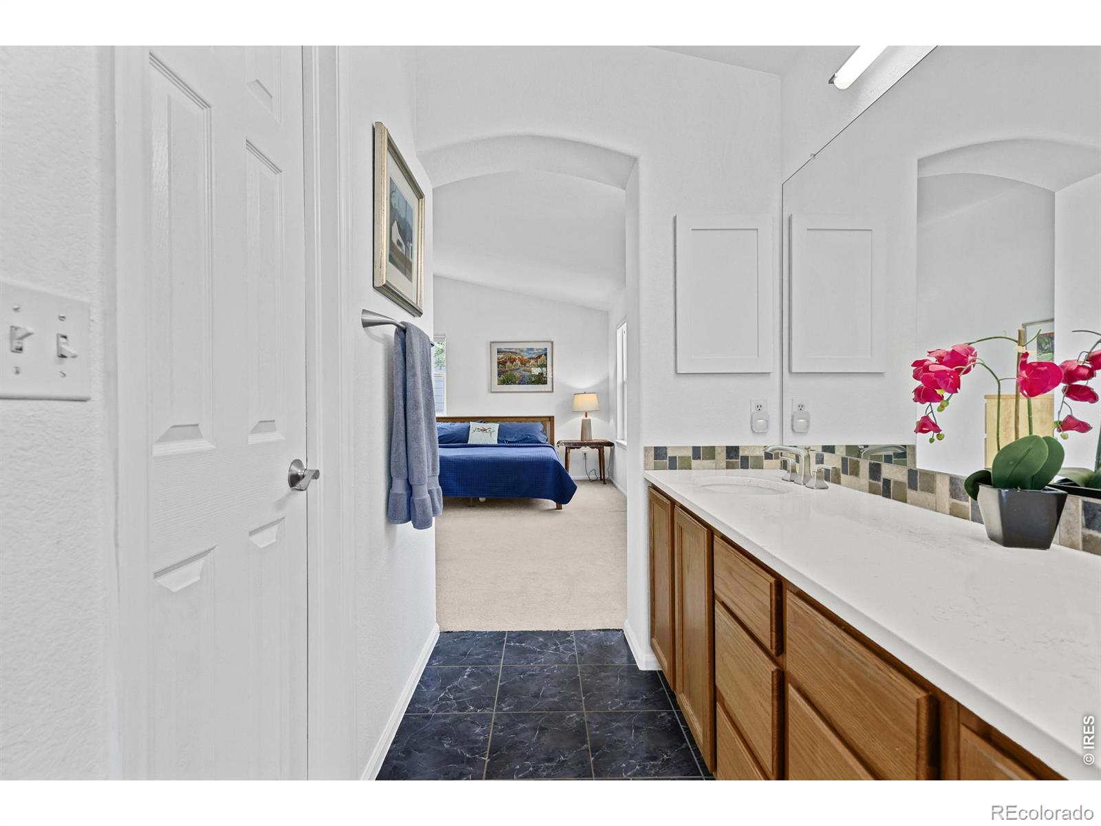 657 Nelson Park Drive Longmont CO 80503