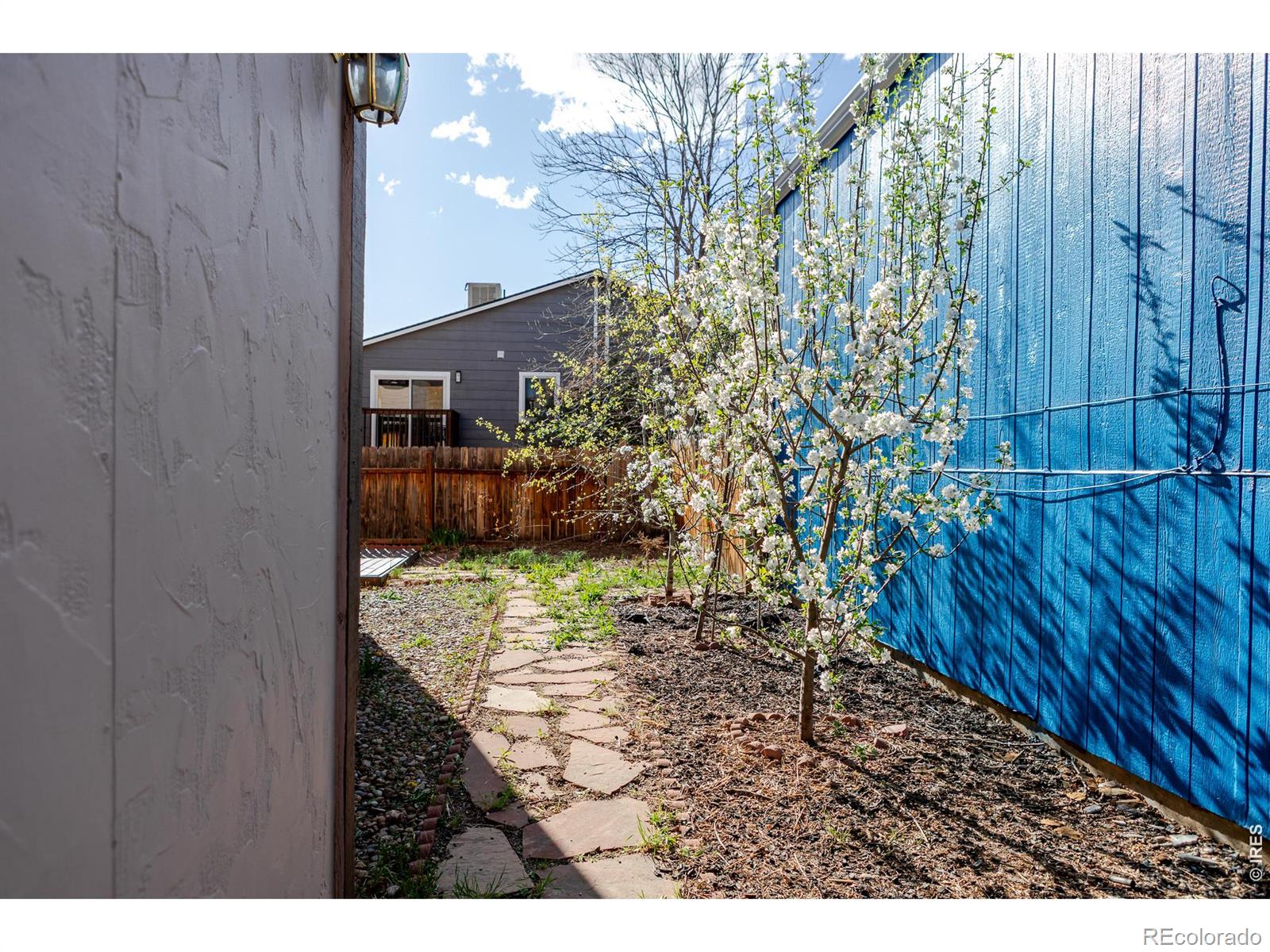 1345 Dogwood Lane Longmont CO 80501