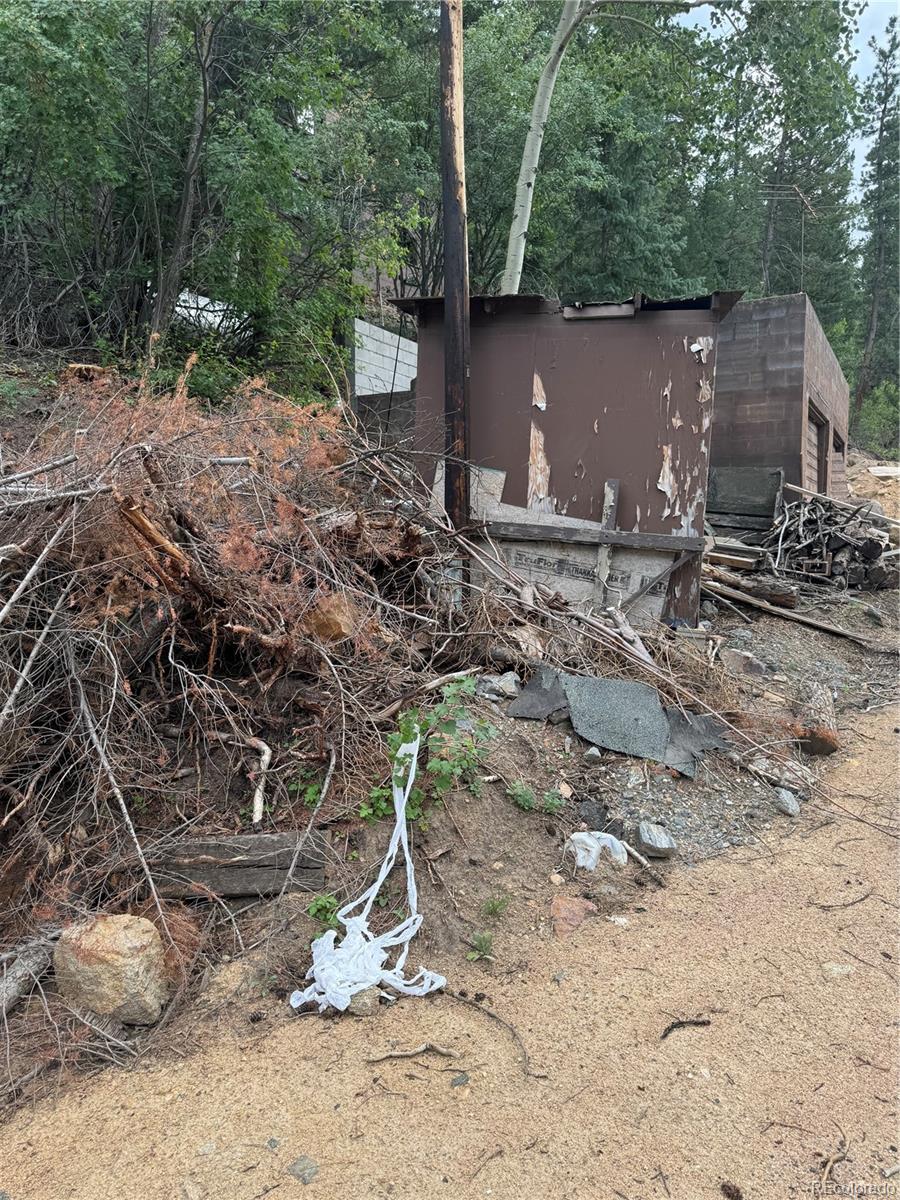 10762 Twin Spruce Road Golden CO 80403