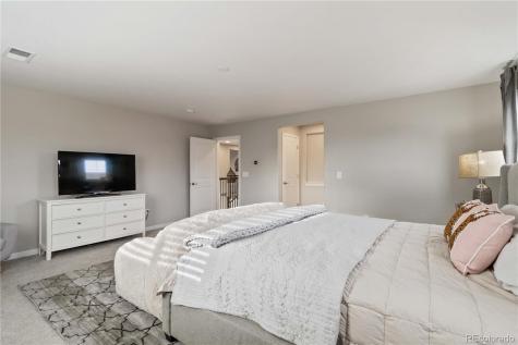 1158 Bonnyton Place Castle Rock CO 80104