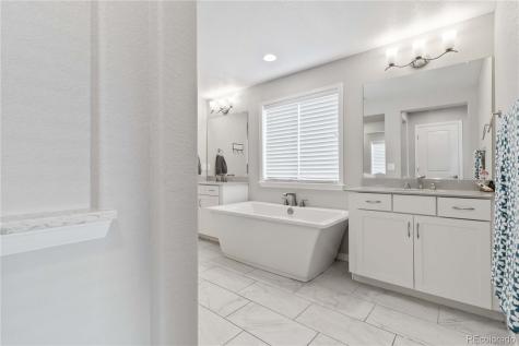 1158 Bonnyton Place Castle Rock CO 80104