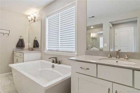 1158 Bonnyton Place Castle Rock CO 80104
