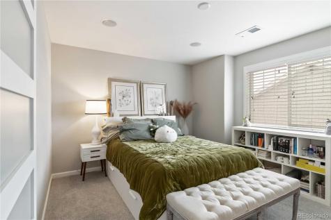 1158 Bonnyton Place Castle Rock CO 80104