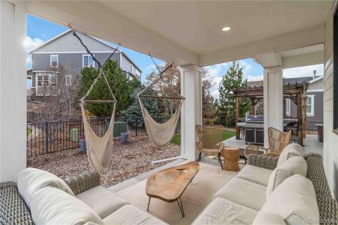 1158 Bonnyton Place Castle Rock CO 80104