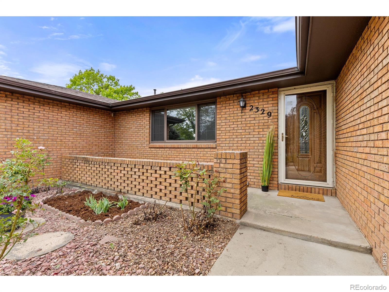 2329 Corey Street Longmont CO 80501