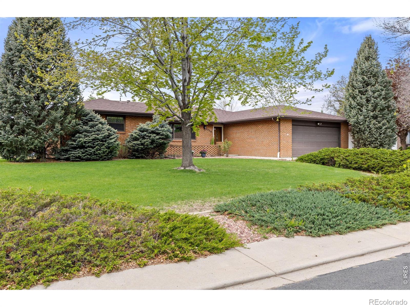 2329 Corey Street Longmont CO 80501