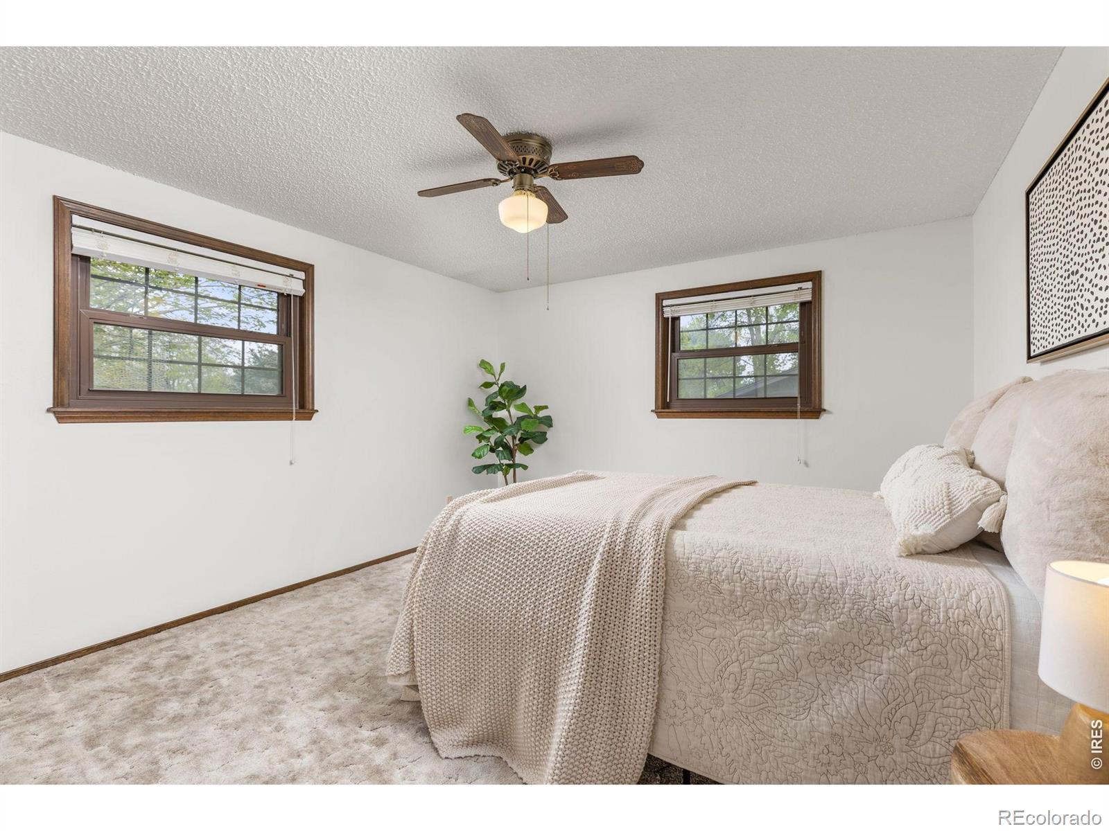 2329 Corey Street Longmont CO 80501