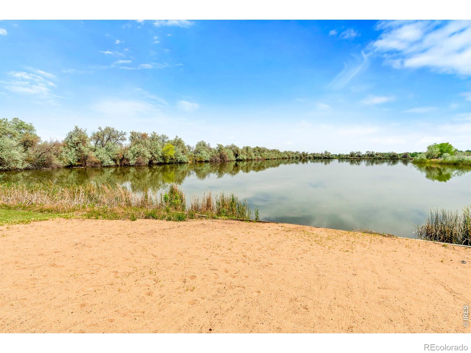 466 S County Road 9e Loveland CO 80537