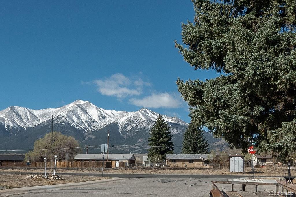107 Dartmouth Drive Buena Vista CO 81211