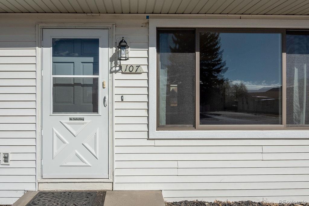 107 Dartmouth Drive Buena Vista CO 81211