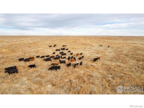 29899 County Road 88 Ault CO 80610