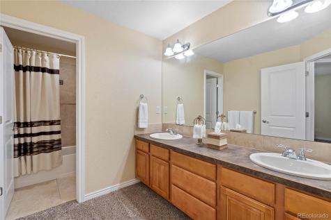 1591 Landon Court Windsor CO 80550