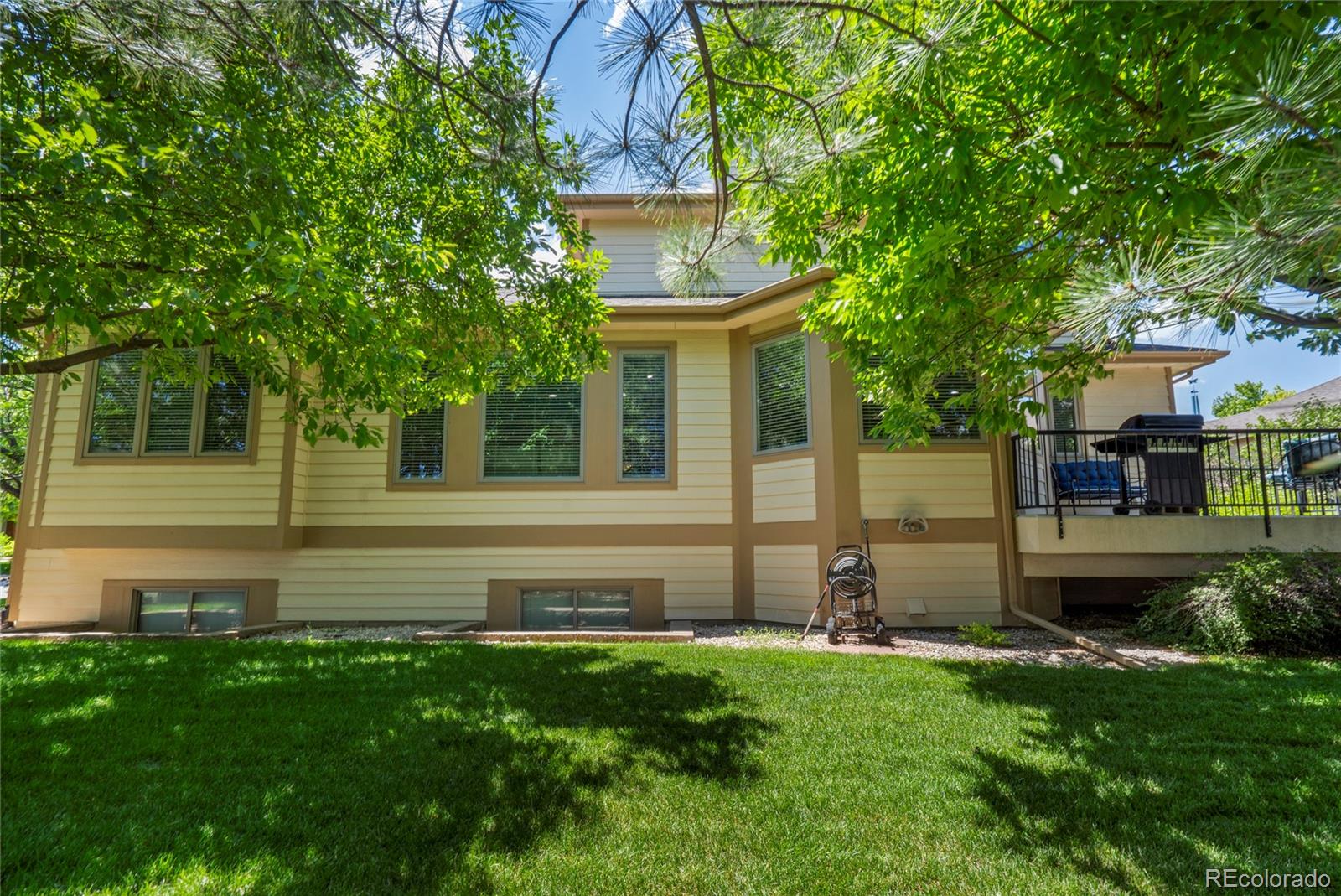 1591 Landon Court Windsor CO 80550