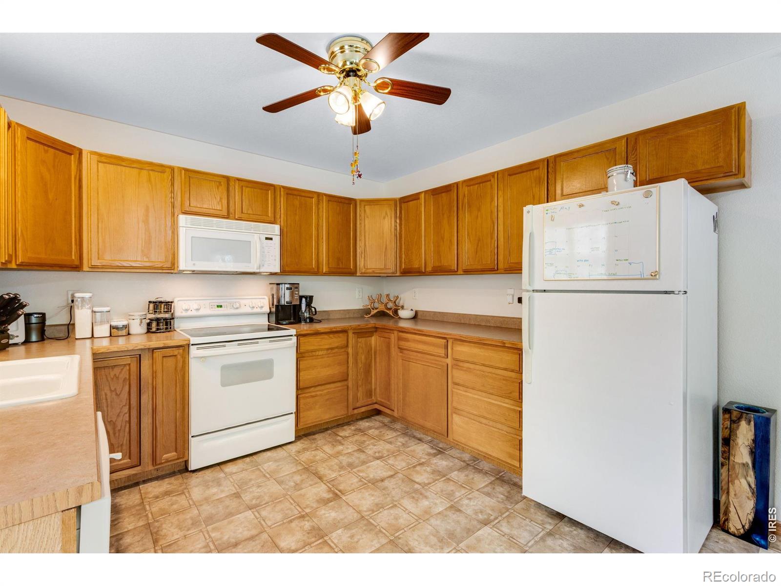 4771 Dillon Avenue Loveland CO 80538