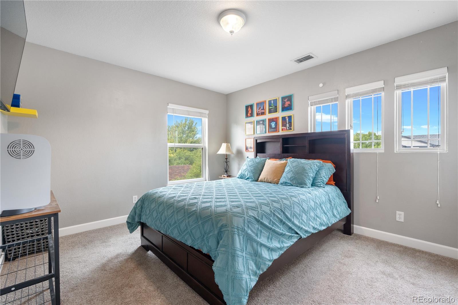 5839 Raleigh Circle Castle Rock CO 80104
