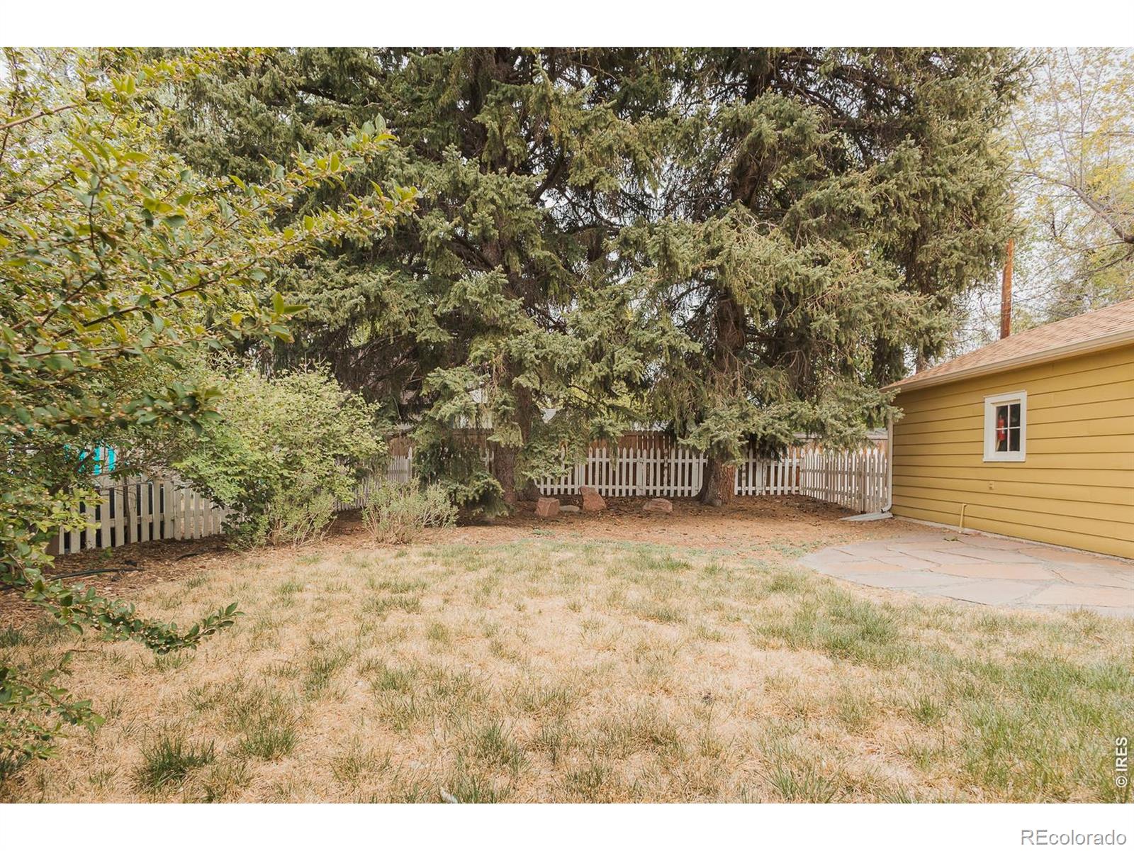 144 N Bryan Avenue Fort Collins CO 80521