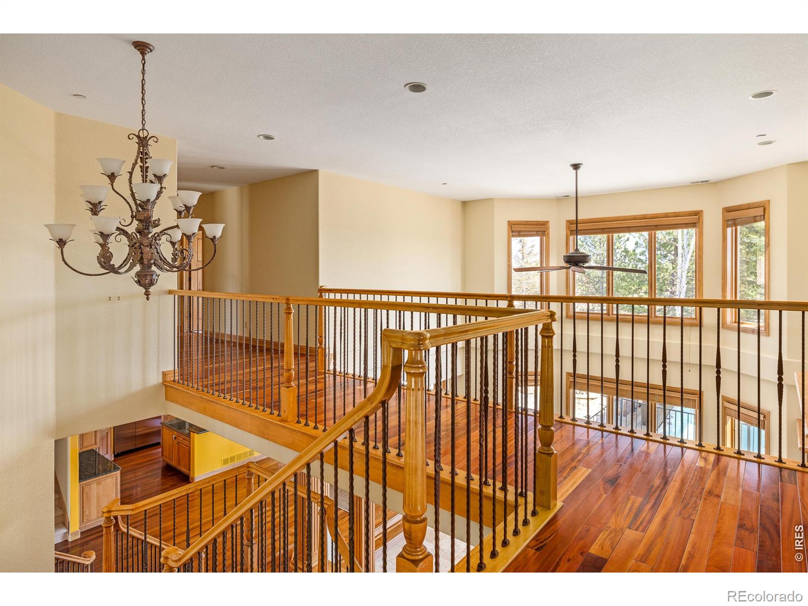 8630 Crimson Clover Lane Longmont CO 80503