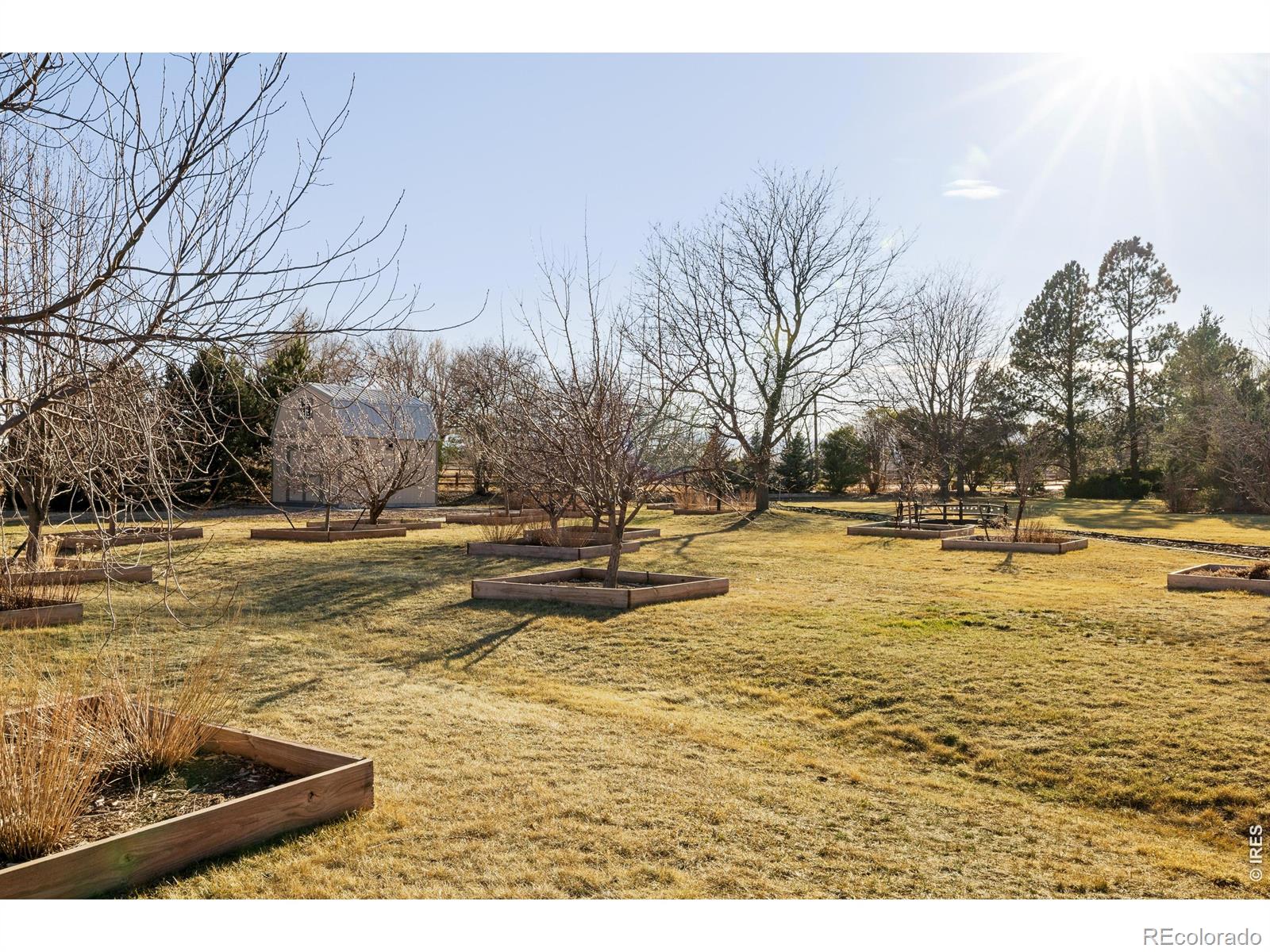 8630 Crimson Clover Lane Longmont CO 80503