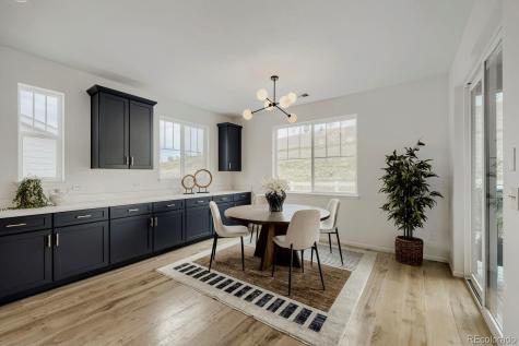 5208 Silver Hare Court Castle Rock CO 80104