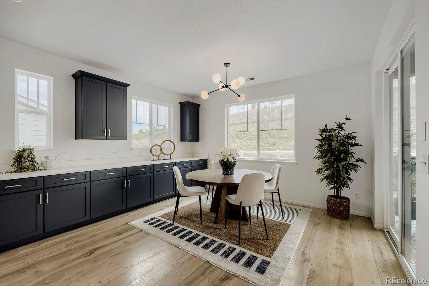 5208 Silver Hare Court Castle Rock CO 80104